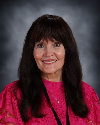 Image of Ginny Bluse