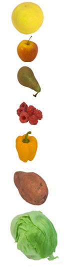 Image of various types of fruit